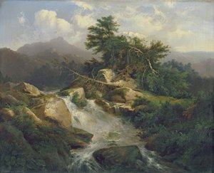 Waldlandschaft mit Wasserfall